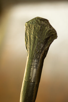 Mold-making brush