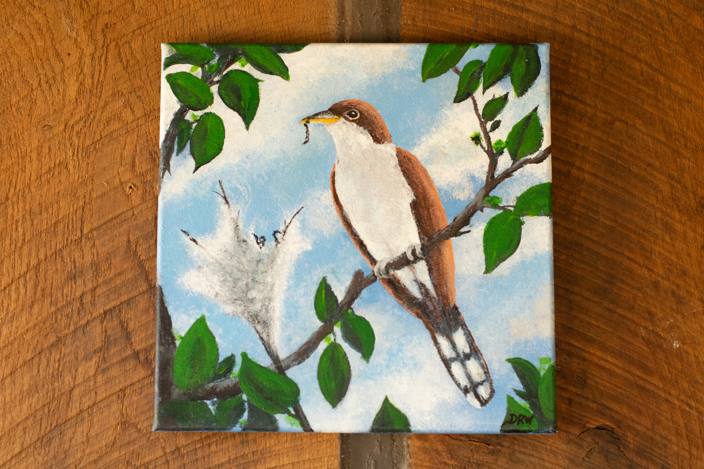 Yellow Billed Cuckoo painting