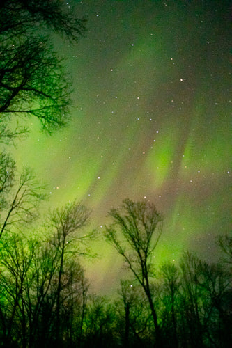 STAY: Fisher Cat Creek Forest Retreat
