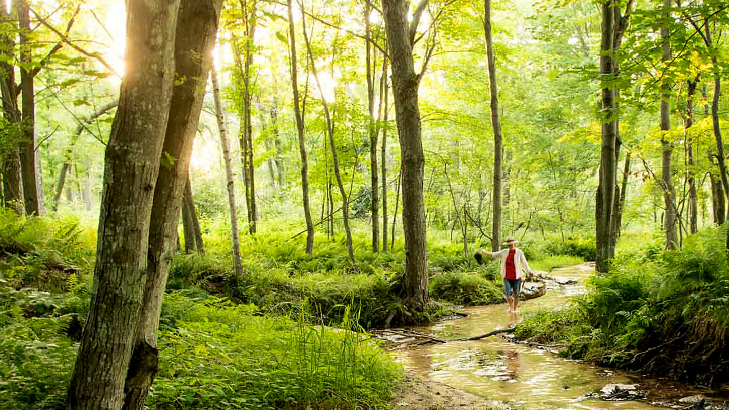 STAY: Fisher Cat Creek Forest Retreat