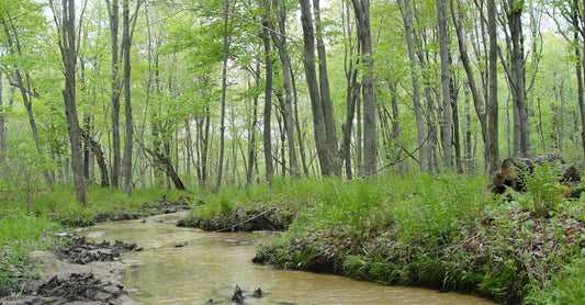 Dave’s Nature News – Aug, 2025