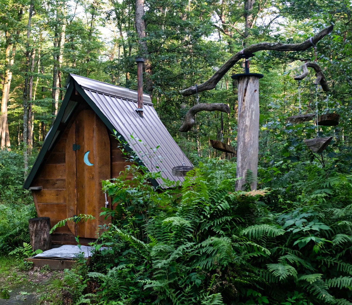 Fisher Cat Creek Forest Retreat