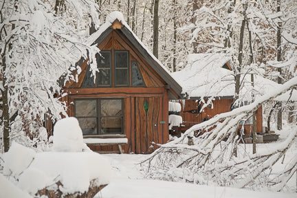 Fisher Cat Creek Forest Retreat